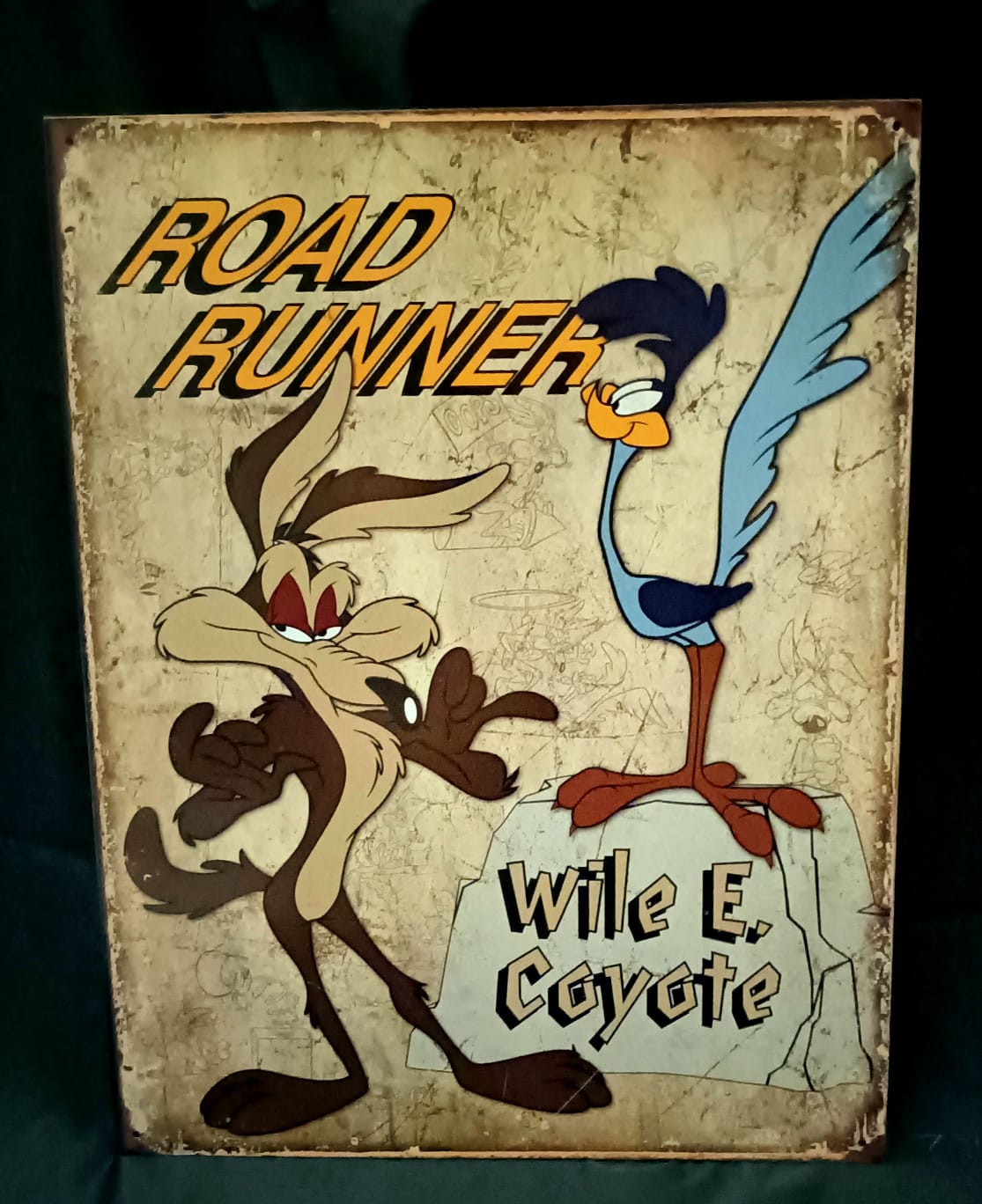 Blechschild "ROAD RUNNER"