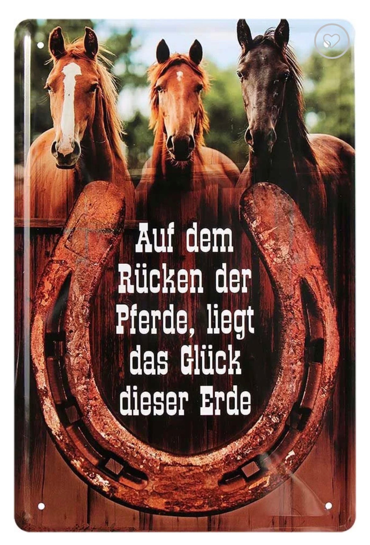Blechschild "Auf dem Rücken der Pferde"