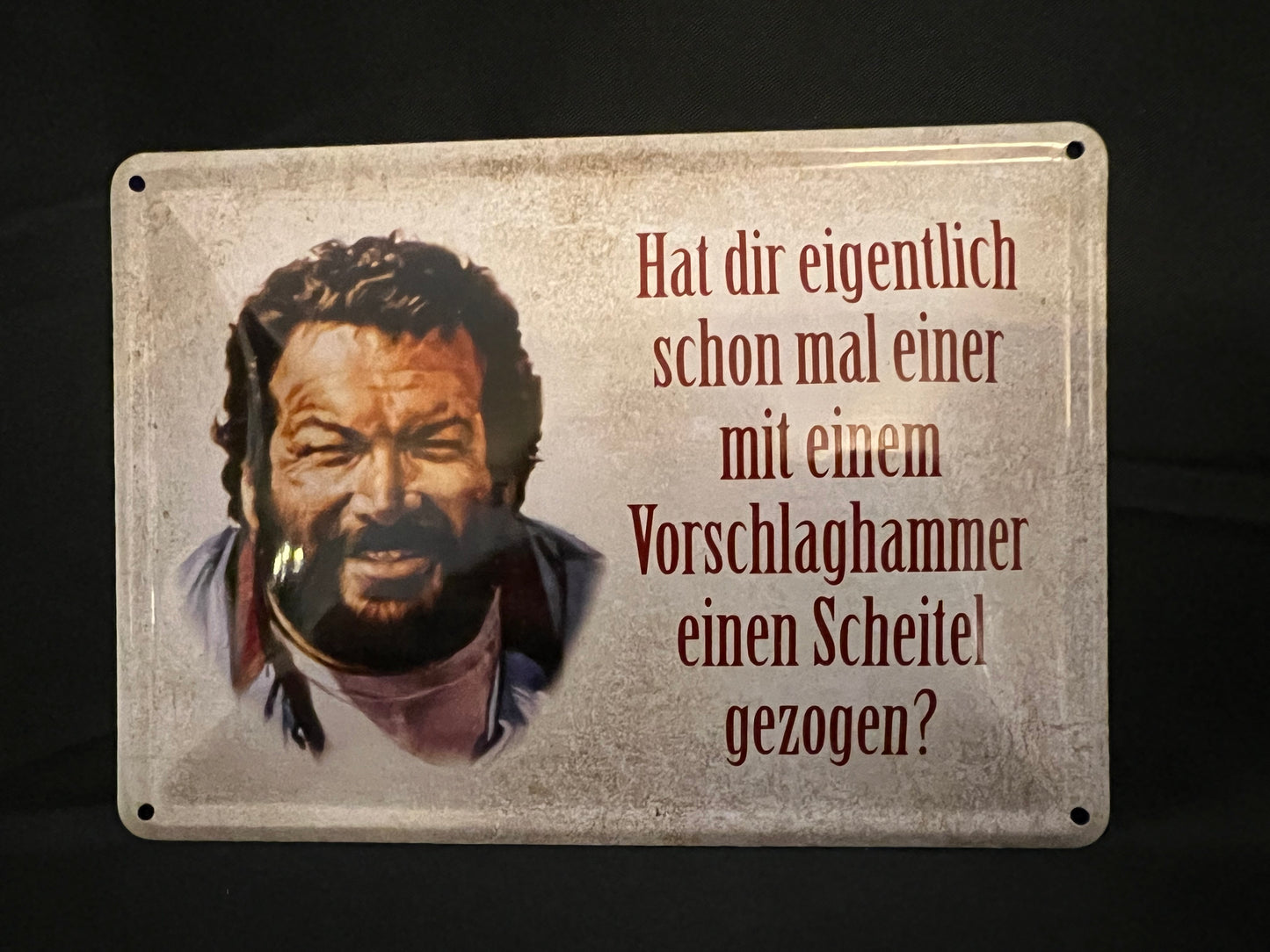 Blechschild "Hat dir eigentlich schon mal"