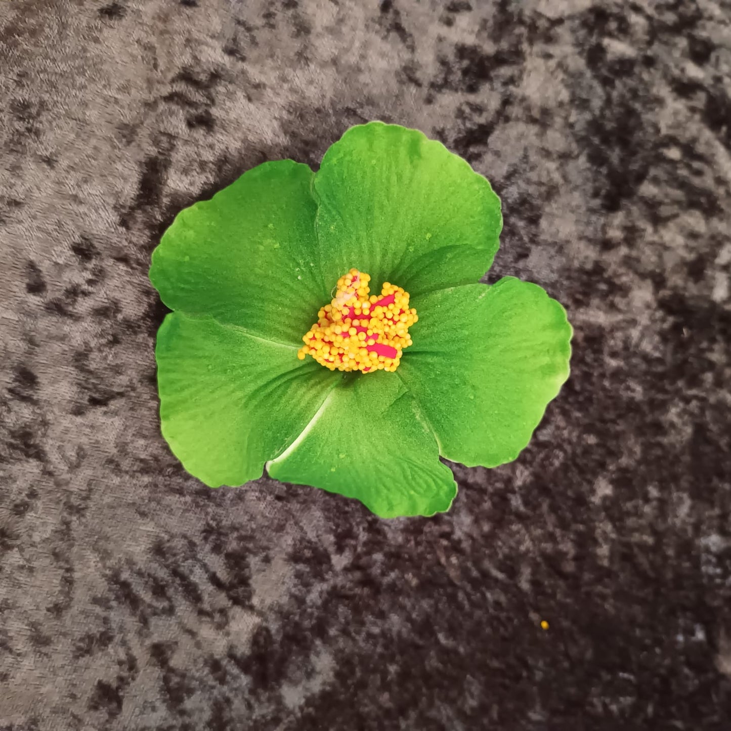 Haarspange "Hibiskus"