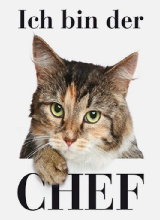 Blechschild "Ich bin der Chef"