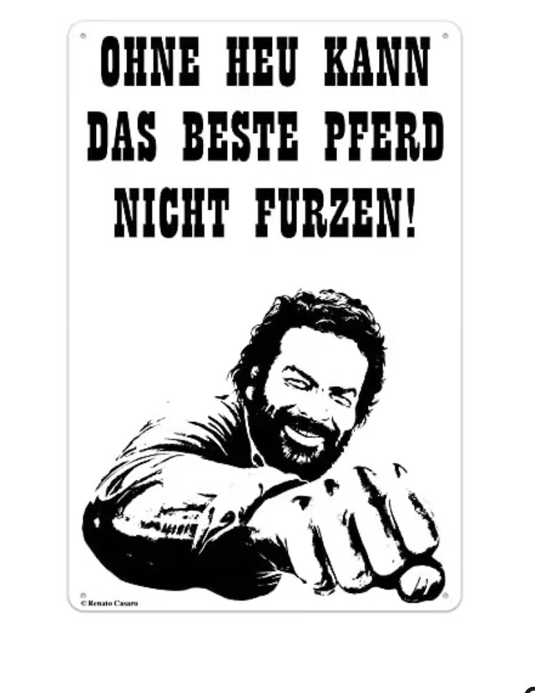 Blechschild " Ohne Heu kann das beste Pferd nicht Furzen"