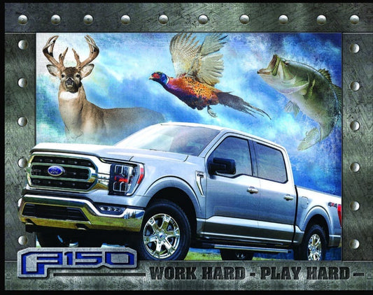 Blechschild "Ford F150"